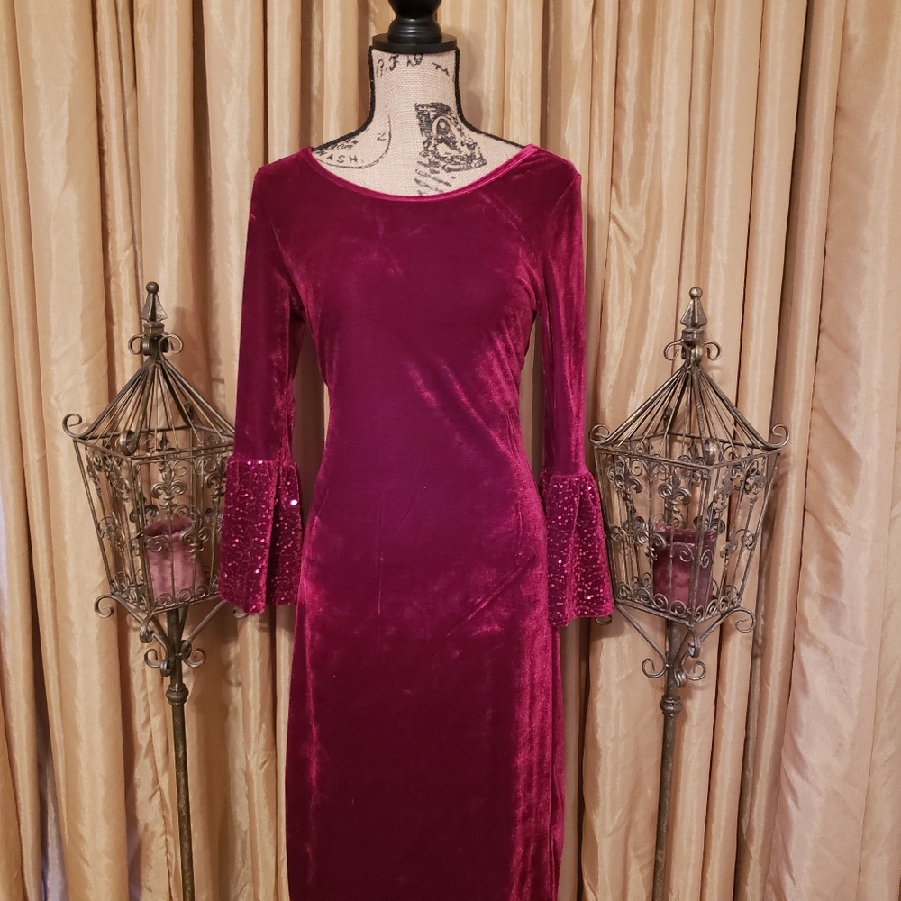 Burgundy Wine Velvet Dress